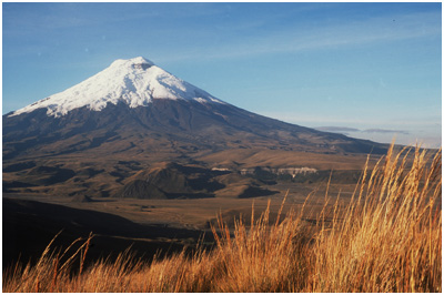 Avenida de los Volcanos