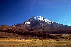 Chimborazo