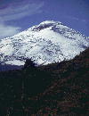 Cotopaxi vista de Frente