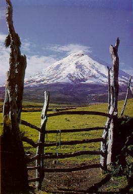 Cotopaxi