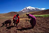 Siembra en el Chimborazo