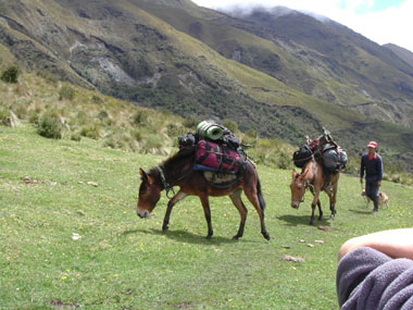 trek, trekking, andes Ecuador