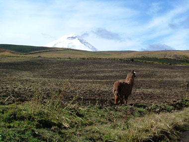 trek, trekking, andes Ecuador