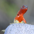 Ecuador Galapagos travel Ecuador tour: Galapagos National Park